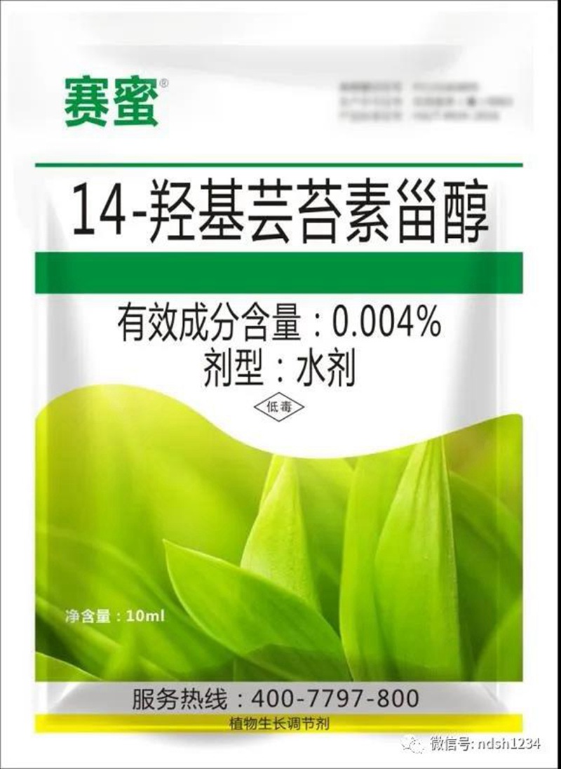 我公司參加澠池縣花椒春季管理與病蟲害防治技術培訓會(圖4)